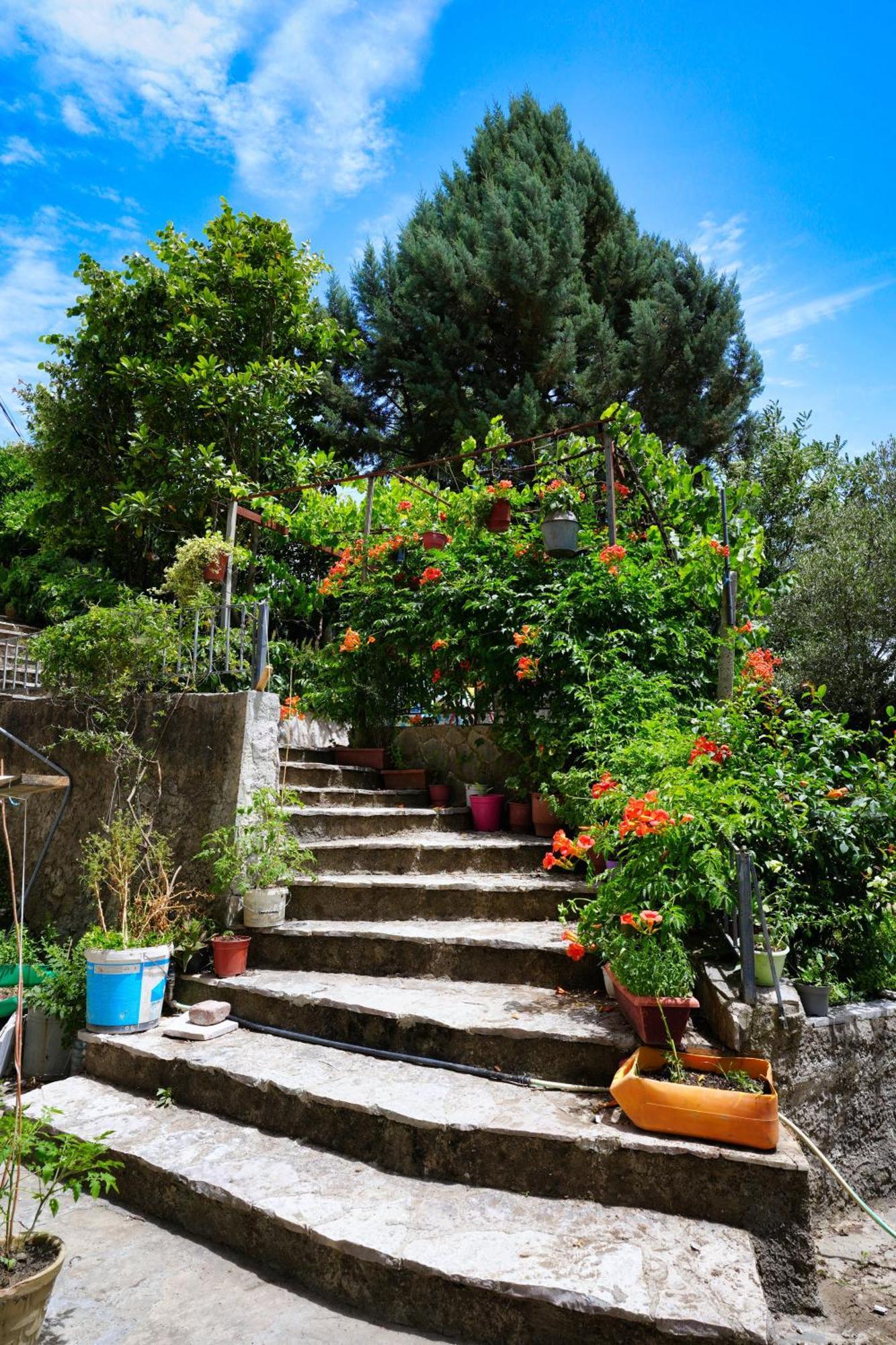 Vila Banushi Gjirokaster Bagian luar foto